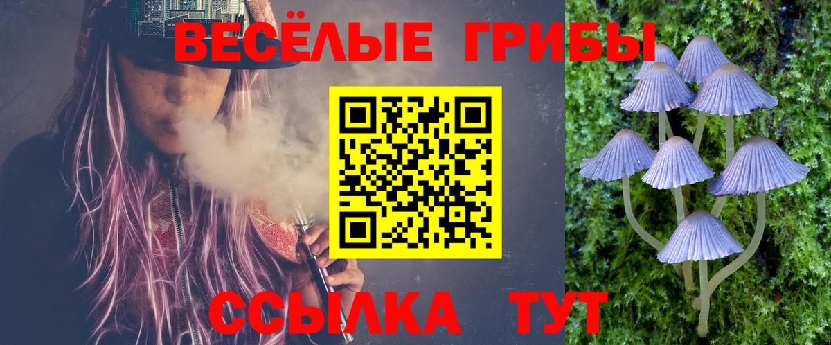 Псилоцибиновые грибы MAGIC MUSHROOMS  Псилоцибиновые грибы Psilocybine cubensis  Гудермес  Вход с VPN 