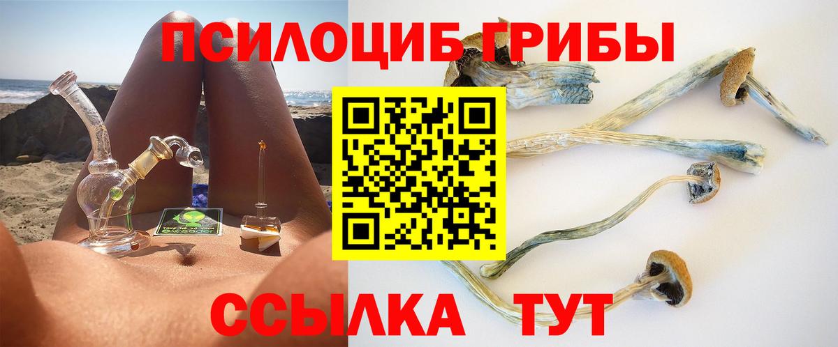 Псилоцибиновые грибы GOLDEN TEACHER Гудермес