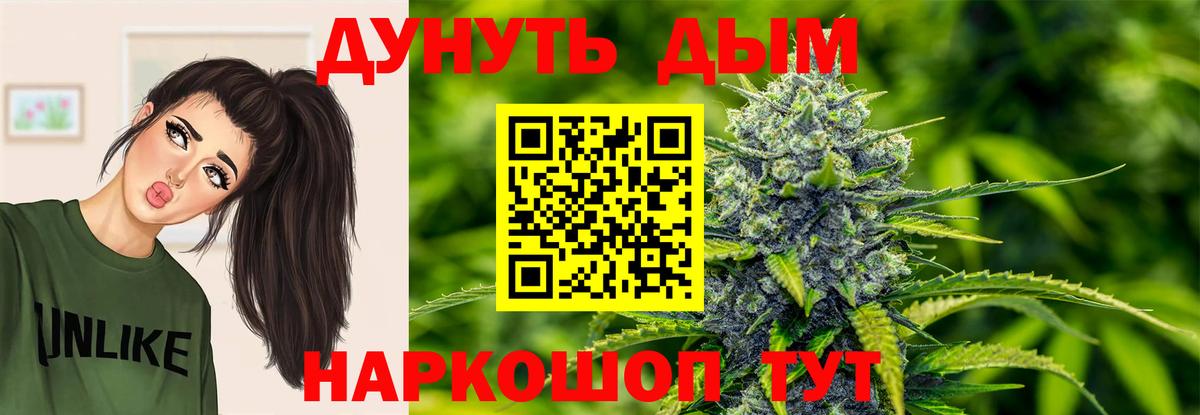 Шишки марихуана марихуана  Бошки марихуана планчик  Конопля гибрид  Гудермес  Вход с VPN 